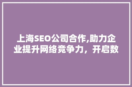 上海SEO公司合作,助力企业提升网络竞争力，开启数字营销新时代