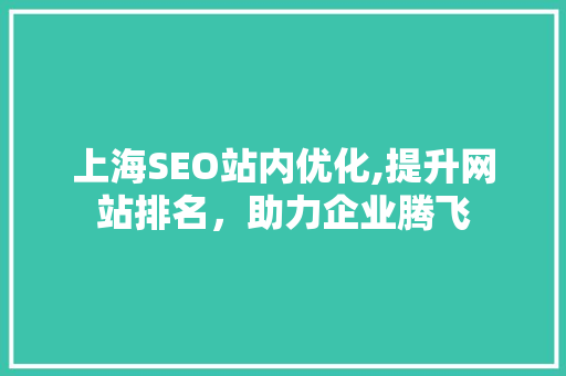 上海SEO站内优化,提升网站排名，助力企业腾飞