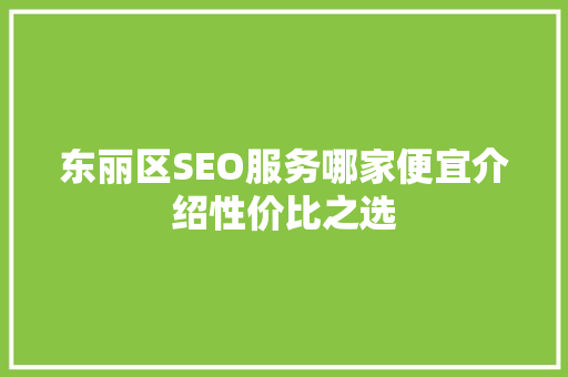 东丽区SEO服务哪家便宜介绍性价比之选