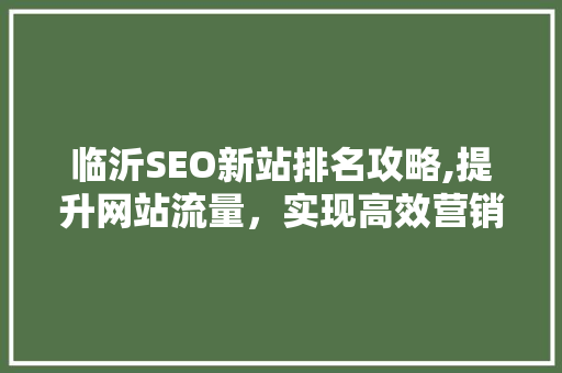 临沂SEO新站排名攻略,提升网站流量，实现高效营销