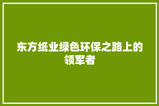 东方纸业绿色环保之路上的领军者