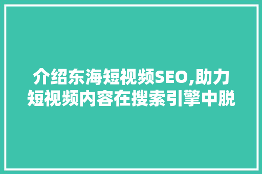 介绍东海短视频SEO,助力短视频内容在搜索引擎中脱颖而出