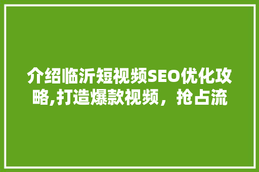 介绍临沂短视频SEO优化攻略,打造爆款视频，抢占流量高地
