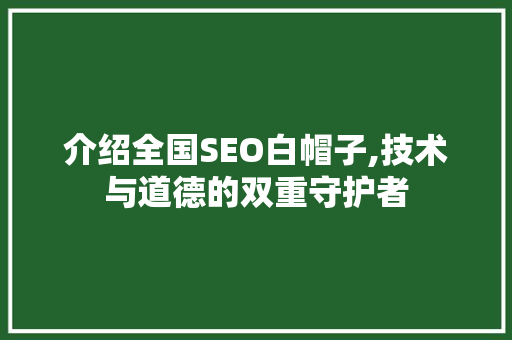 介绍全国SEO白帽子,技术与道德的双重守护者