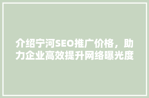 介绍宁河SEO推广价格，助力企业高效提升网络曝光度
