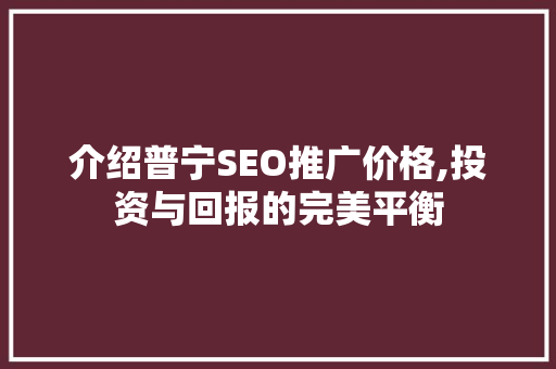 介绍普宁SEO推广价格,投资与回报的完美平衡