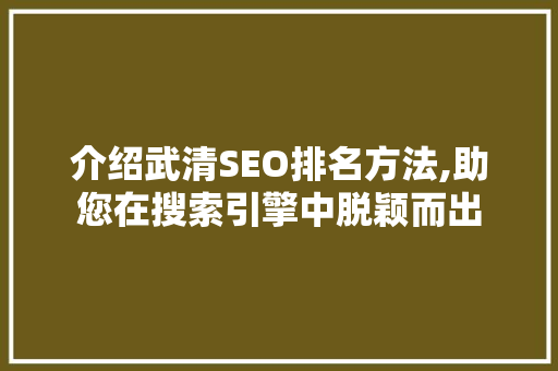 介绍武清SEO排名方法,助您在搜索引擎中脱颖而出