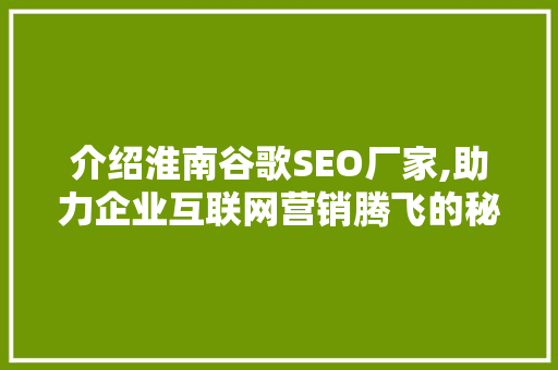 介绍淮南谷歌SEO厂家,助力企业互联网营销腾飞的秘密武器