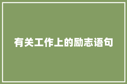 南坪SEO优化口碑,介绍高效网络营销之路
