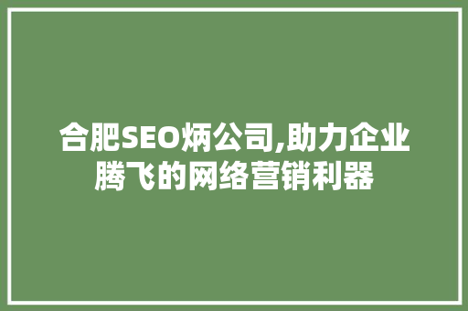 合肥SEO炳公司,助力企业腾飞的网络营销利器