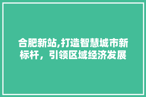 合肥新站,打造智慧城市新标杆，引领区域经济发展