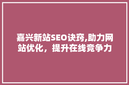 嘉兴新站SEO诀窍,助力网站优化，提升在线竞争力