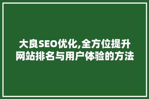 大良SEO优化,全方位提升网站排名与用户体验的方法