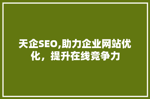 天企SEO,助力企业网站优化，提升在线竞争力