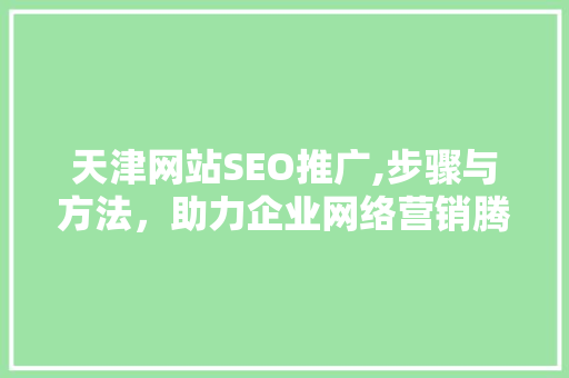 天津网站SEO推广,步骤与方法，助力企业网络营销腾飞
