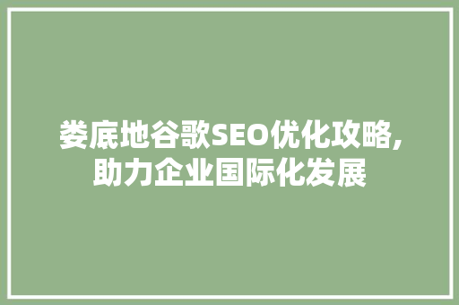 娄底地谷歌SEO优化攻略,助力企业国际化发展