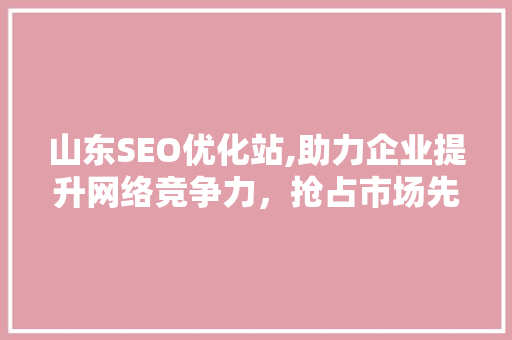 山东SEO优化站,助力企业提升网络竞争力，抢占市场先机