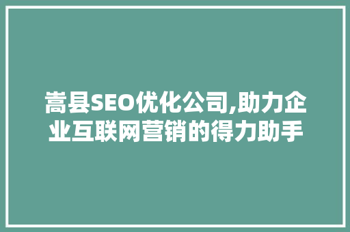 嵩县SEO优化公司,助力企业互联网营销的得力助手