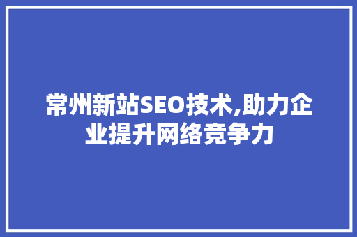 常州新站SEO技术,助力企业提升网络竞争力
