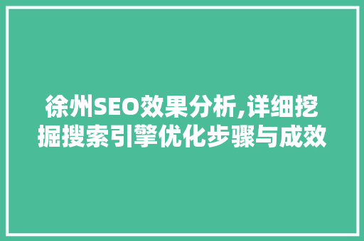 徐州SEO效果分析,详细挖掘搜索引擎优化步骤与成效