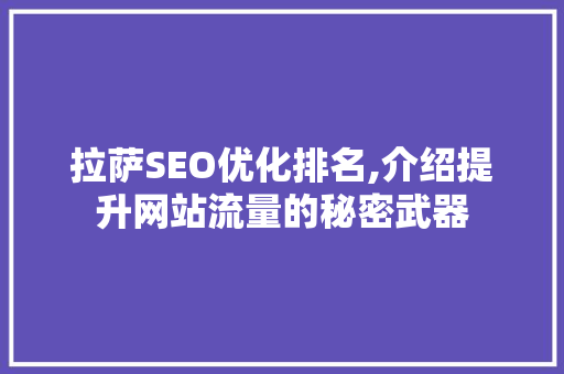拉萨SEO优化排名,介绍提升网站流量的秘密武器