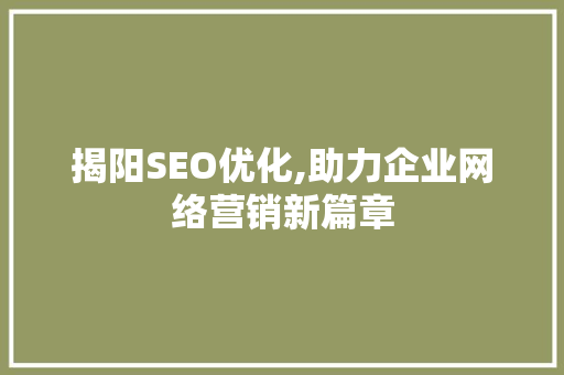 揭阳SEO优化,助力企业网络营销新篇章