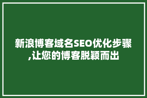 新浪博客域名SEO优化步骤,让您的博客脱颖而出