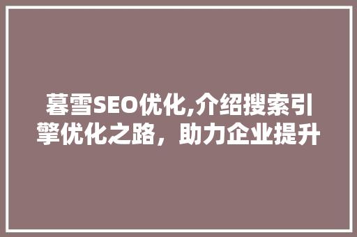 暮雪SEO优化,介绍搜索引擎优化之路，助力企业提升在线竞争力