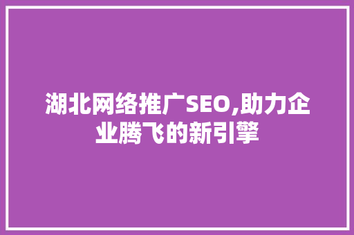 湖北网络推广SEO,助力企业腾飞的新引擎
