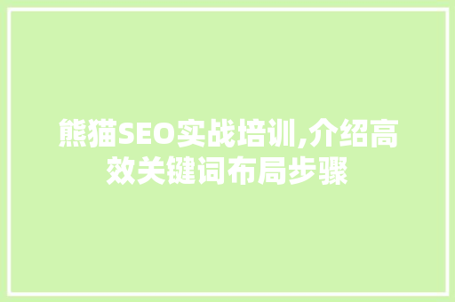 熊猫SEO实战培训,介绍高效关键词布局步骤