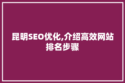昆明SEO优化,介绍高效网站排名步骤