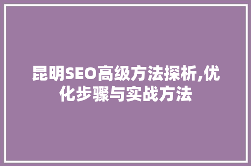 昆明SEO高级方法探析,优化步骤与实战方法