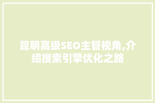 昆明高级SEO主管视角,介绍搜索引擎优化之路