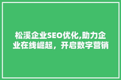 松溪企业SEO优化,助力企业在线崛起，开启数字营销新时代