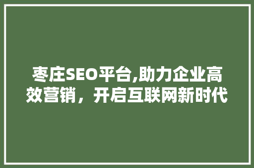 枣庄SEO平台,助力企业高效营销，开启互联网新时代
