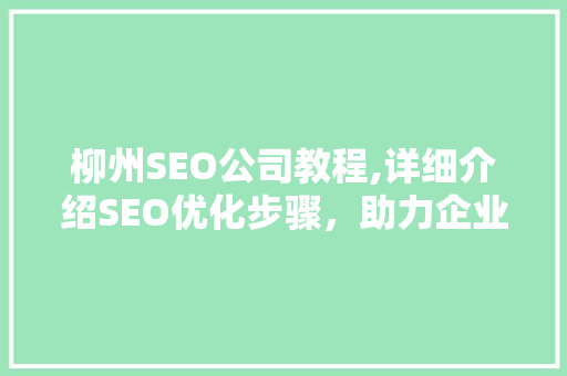 柳州SEO公司教程,详细介绍SEO优化步骤，助力企业提升网络竞争力