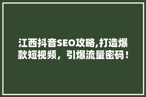 江西抖音SEO攻略,打造爆款短视频，引爆流量密码！