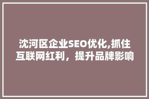 沈河区企业SEO优化,抓住互联网红利，提升品牌影响力