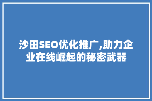 沙田SEO优化推广,助力企业在线崛起的秘密武器
