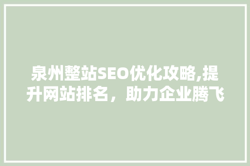 泉州整站SEO优化攻略,提升网站排名，助力企业腾飞