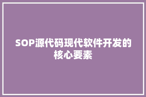 SOP源代码现代软件开发的核心要素