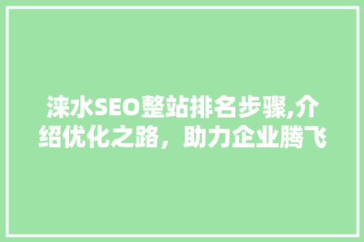涞水SEO整站排名步骤,介绍优化之路，助力企业腾飞