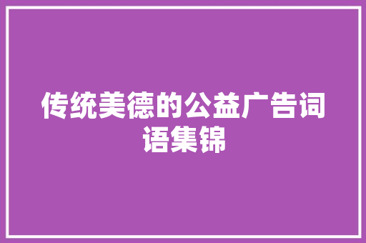 深圳罗湖区SEO步骤,如何提升区域品牌影响力