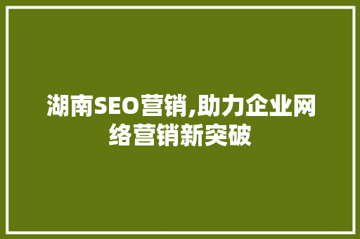 湖南SEO营销,助力企业网络营销新突破
