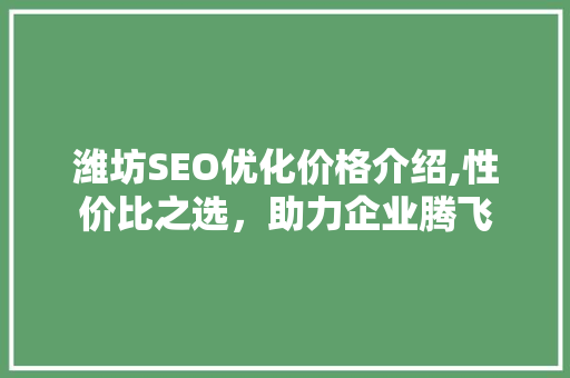 潍坊SEO优化价格介绍,性价比之选，助力企业腾飞