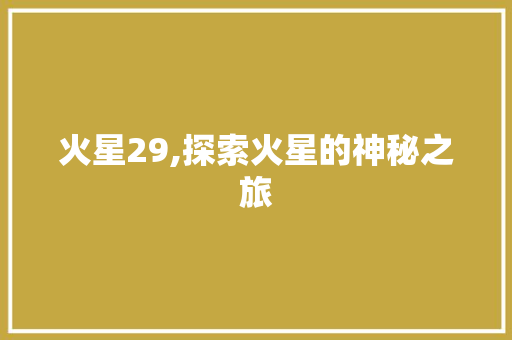 火星29,探索火星的神秘之旅