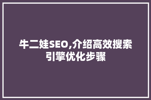 牛二娃SEO,介绍高效搜索引擎优化步骤