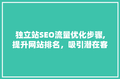 独立站SEO流量优化步骤,提升网站排名，吸引潜在客户