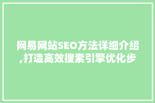 网易网站SEO方法详细介绍,打造高效搜索引擎优化步骤