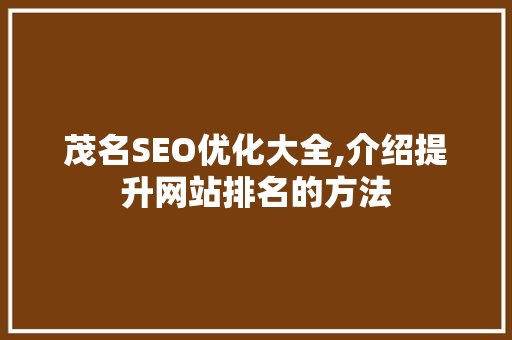 茂名SEO优化大全,介绍提升网站排名的方法